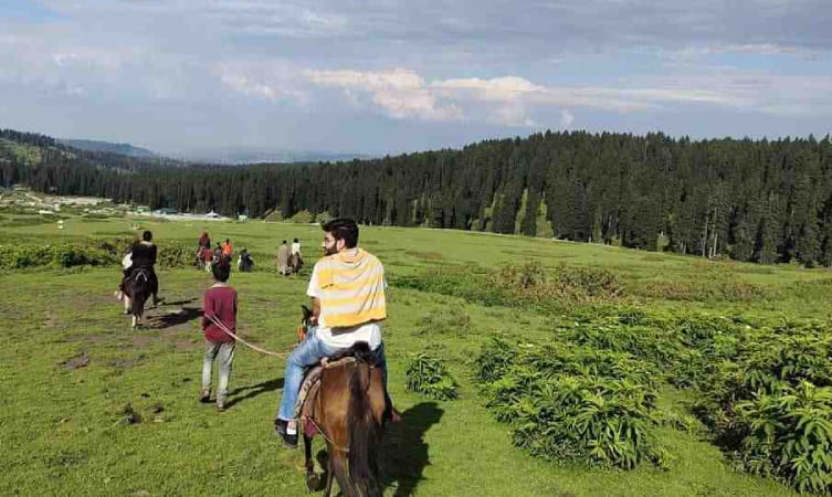 Skiing facilities Resort in Gulmarg